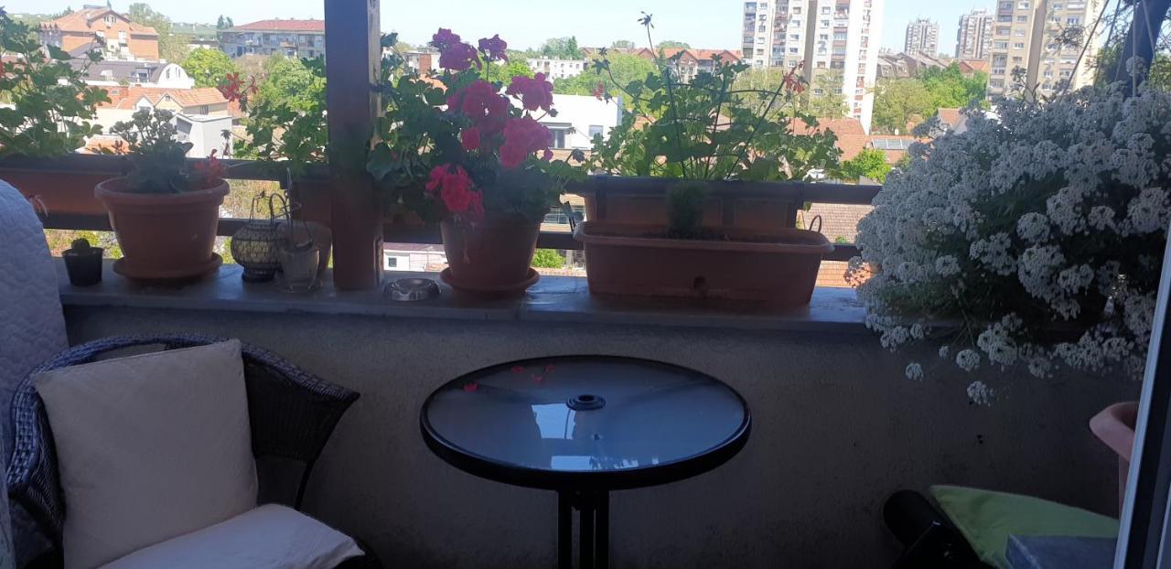 Apartmani Emerald Dream Novi Sad Exteriér fotografie