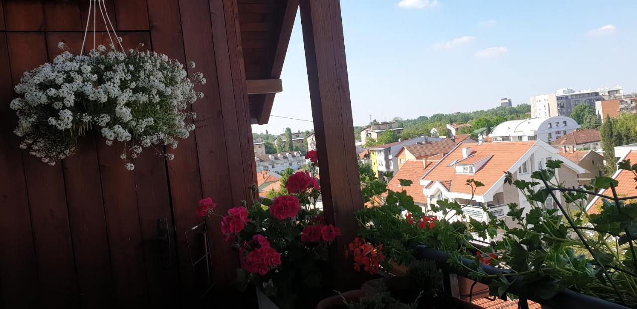 Apartmani Emerald Dream Novi Sad Exteriér fotografie