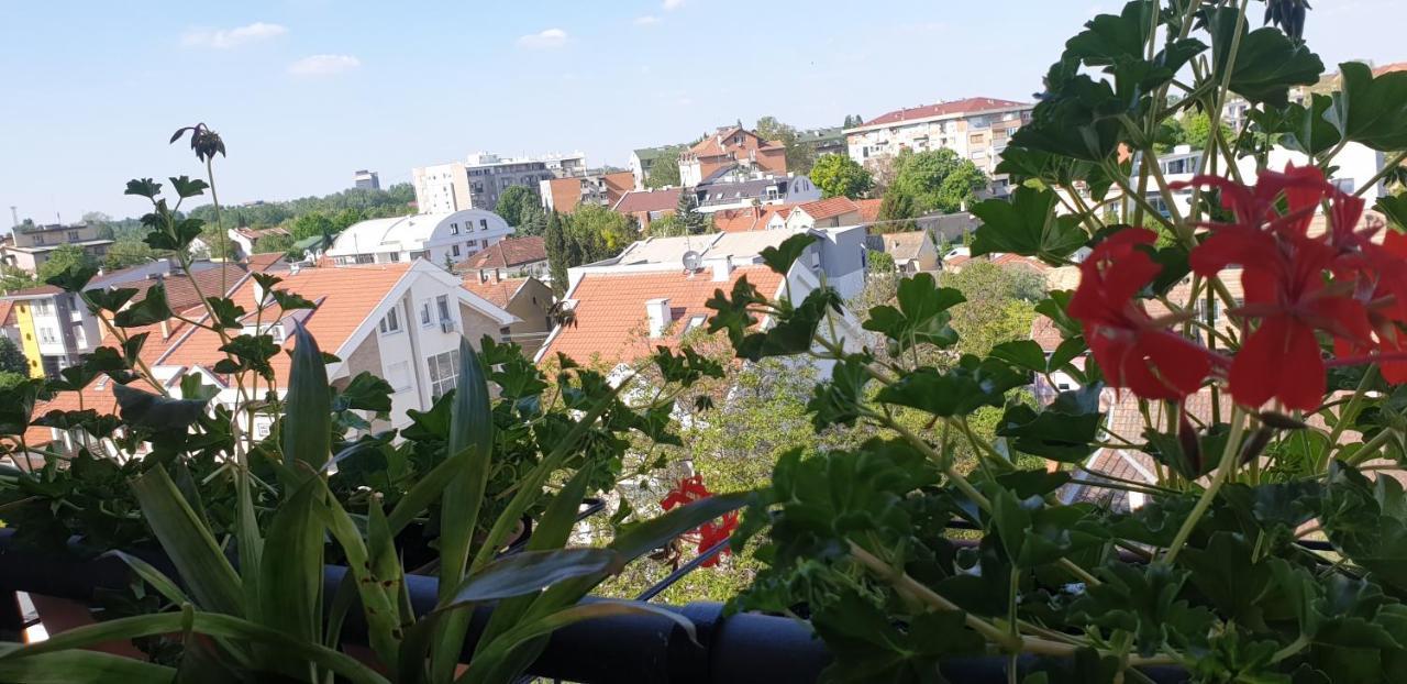 Apartmani Emerald Dream Novi Sad Exteriér fotografie