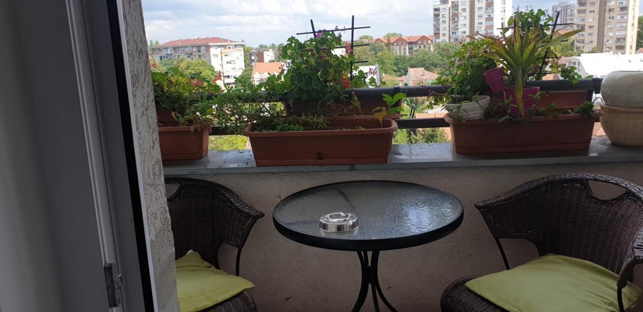 Apartmani Emerald Dream Novi Sad Exteriér fotografie