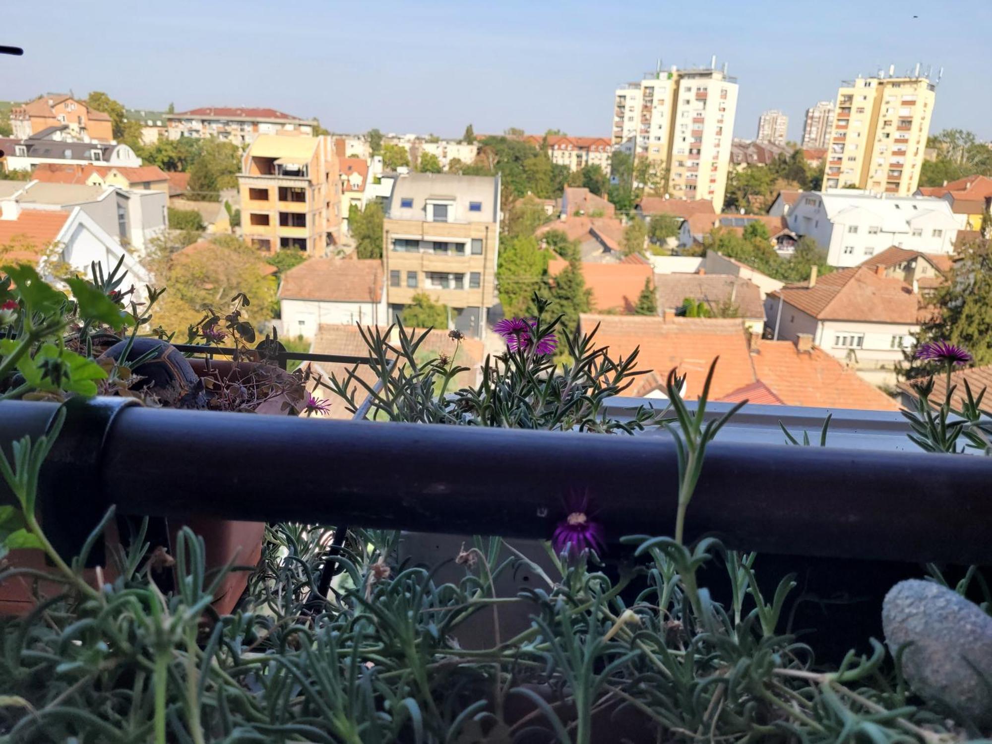Apartmani Emerald Dream Novi Sad Exteriér fotografie