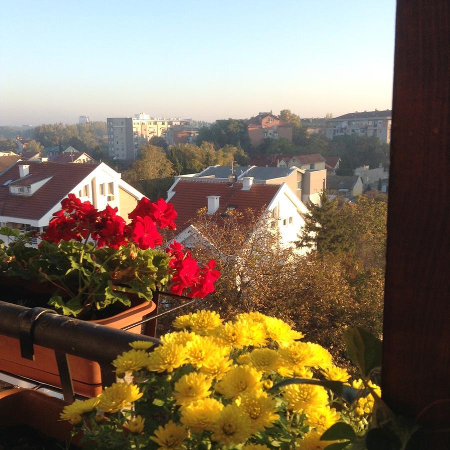 Apartmani Emerald Dream Novi Sad Exteriér fotografie